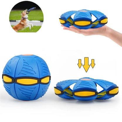 FrisbeeFlex Ball